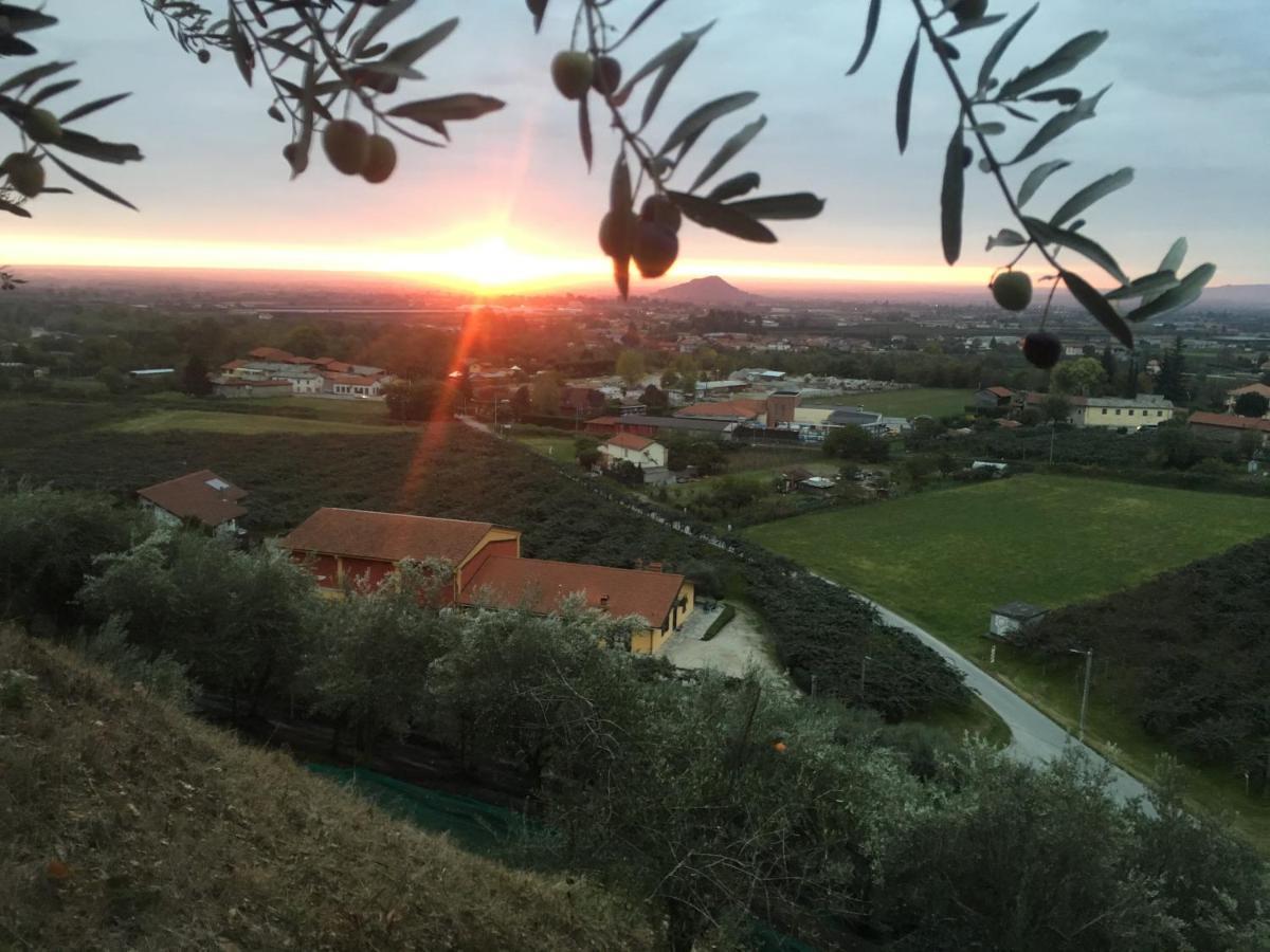 Agrialpi By Salfrutta Panzió Bricherasio Kültér fotó