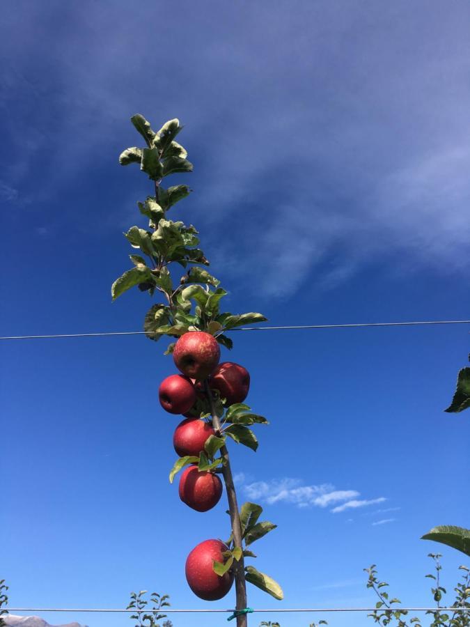 Agrialpi By Salfrutta Panzió Bricherasio Kültér fotó