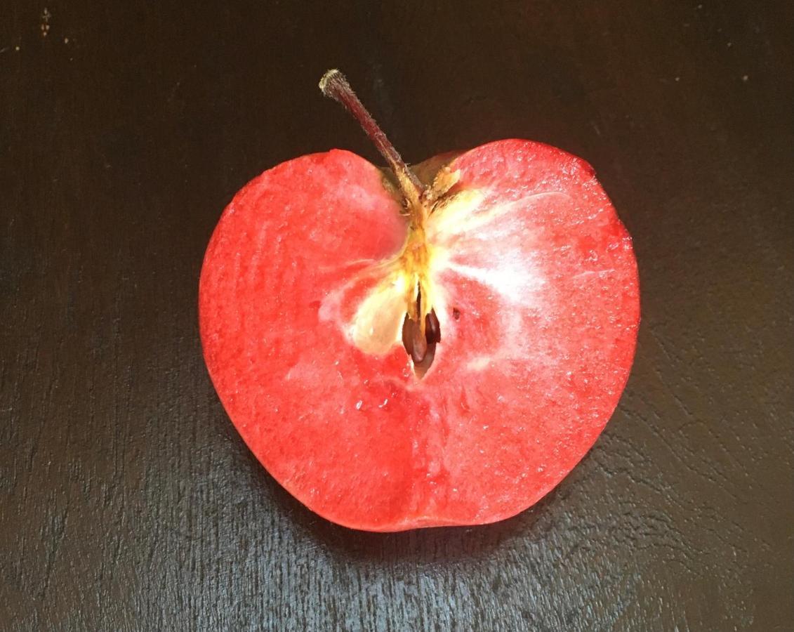 Agrialpi By Salfrutta Panzió Bricherasio Kültér fotó
