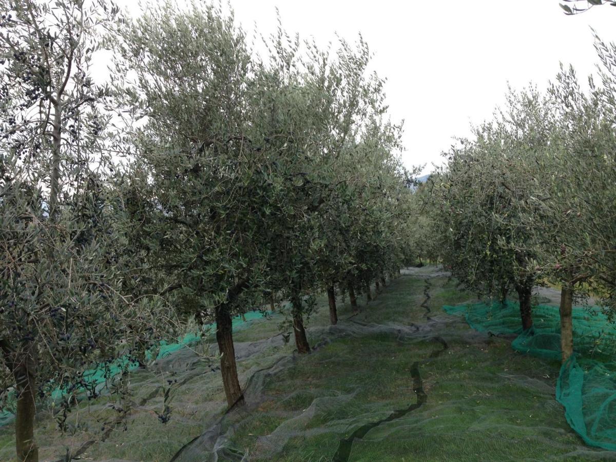Agrialpi By Salfrutta Panzió Bricherasio Kültér fotó
