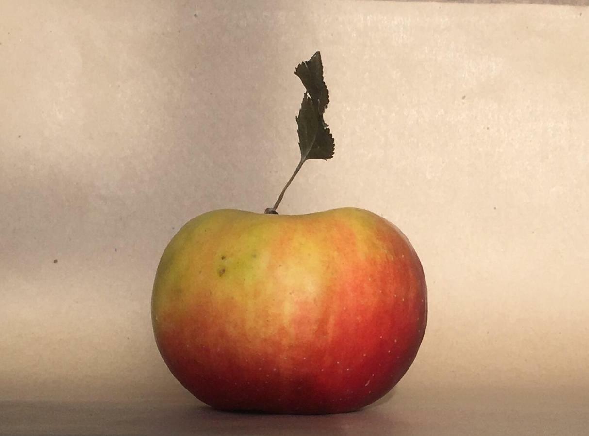Agrialpi By Salfrutta Panzió Bricherasio Kültér fotó